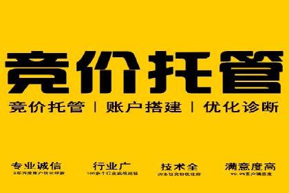 案例解读：SEM托管服务优势与挑战